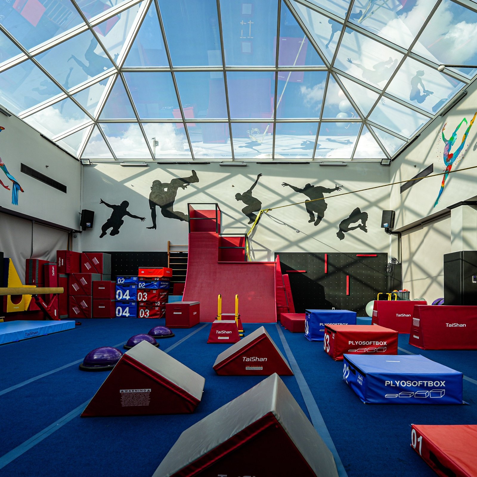 Gymnastics & Parkour
